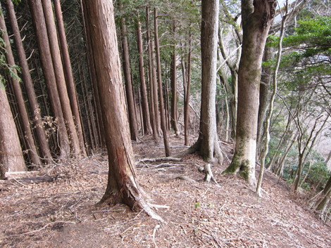 20190205hike (277)